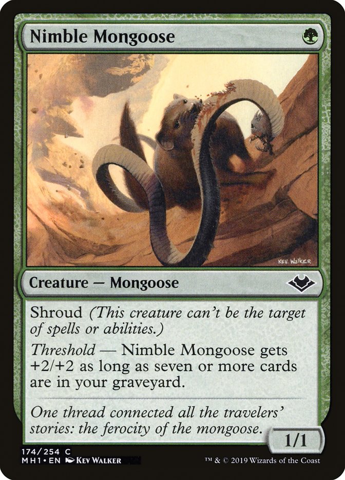 Nimble Mongoose [Modern Horizons] | Dumpster Cat Games