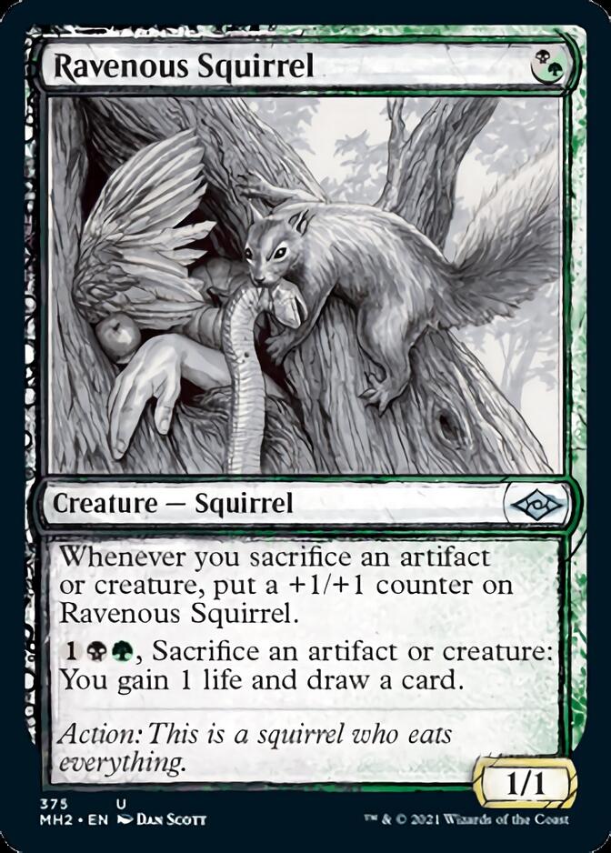 Ravenous Squirrel (Sketch) [Modern Horizons 2] | Dumpster Cat Games