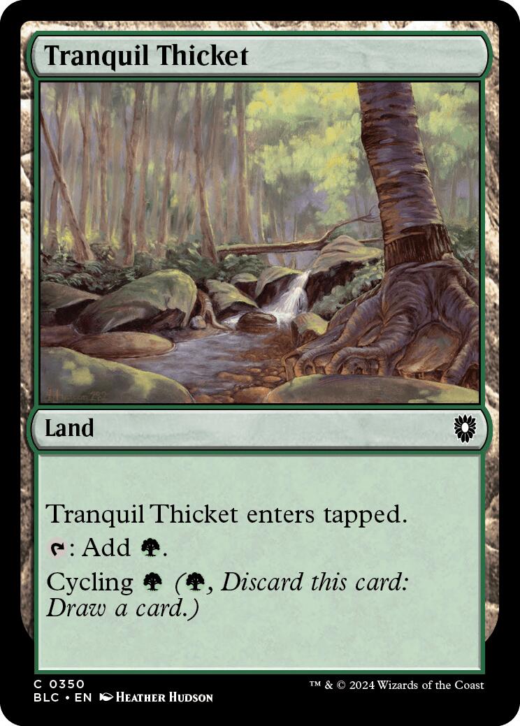 Tranquil Thicket [Bloomburrow Commander] | Dumpster Cat Games