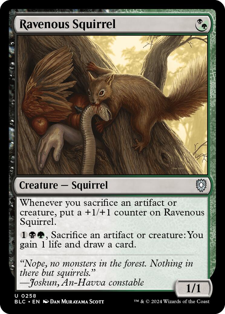 Ravenous Squirrel [Bloomburrow Commander] | Dumpster Cat Games