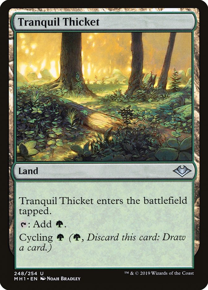 Tranquil Thicket [Modern Horizons] | Dumpster Cat Games