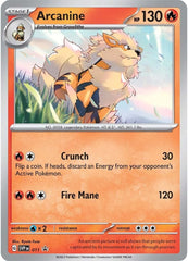 Arcanine (011) [Scarlet & Violet: Black Star Promos] | Dumpster Cat Games