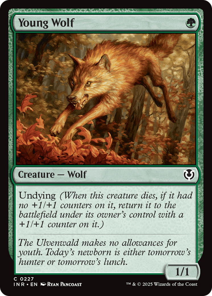 Young Wolf [Innistrad Remastered] | Dumpster Cat Games