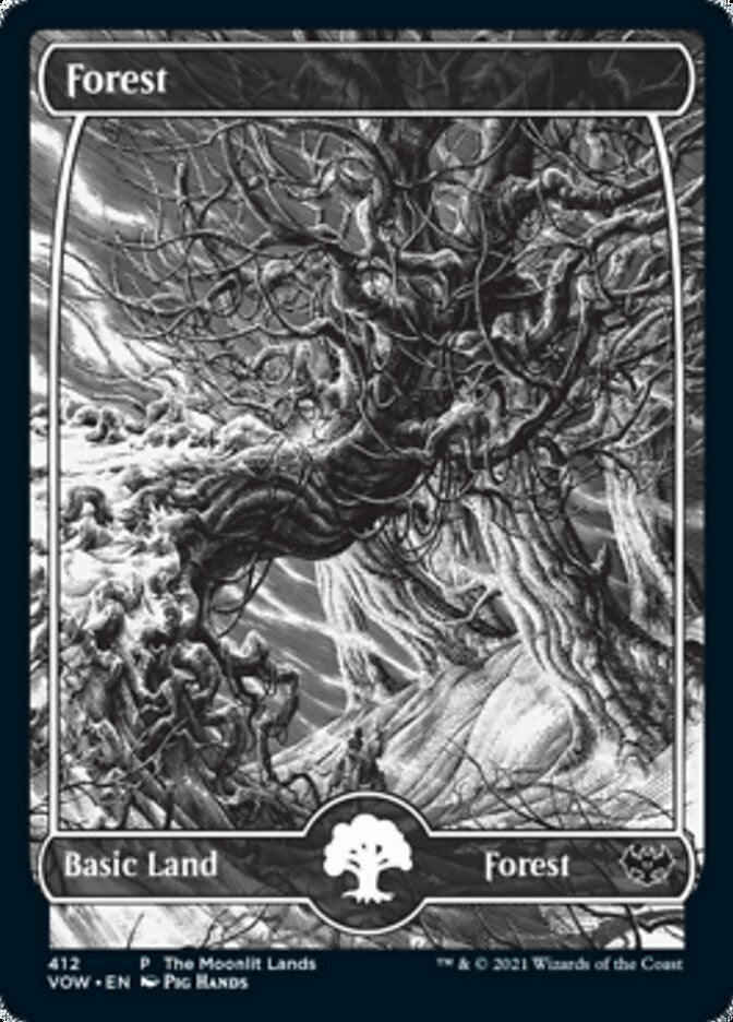 Forest (The Moonlit Lands) (Foil Etched) [Innistrad: Crimson Vow Promos] | Dumpster Cat Games