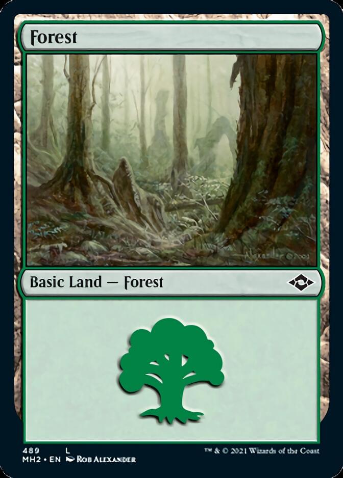 Forest (489) [Modern Horizons 2] | Dumpster Cat Games