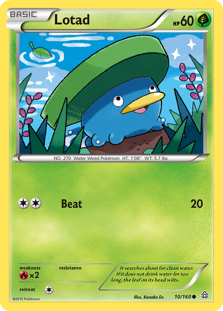 Lotad (10/160) [XY: Primal Clash] | Dumpster Cat Games