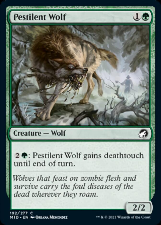 Pestilent Wolf [Innistrad: Midnight Hunt] | Dumpster Cat Games