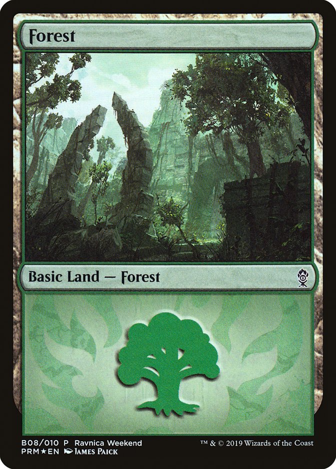 Forest (B08) [Ravnica Allegiance Guild Kit] | Dumpster Cat Games