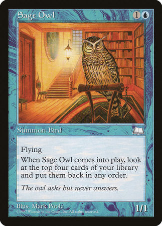 Sage Owl [Weatherlight] | Dumpster Cat Games