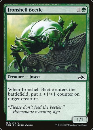 Ironshell Beetle [Guilds of Ravnica] | Dumpster Cat Games