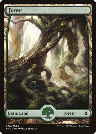 Forest (270) - Full Art [Battle for Zendikar] | Dumpster Cat Games