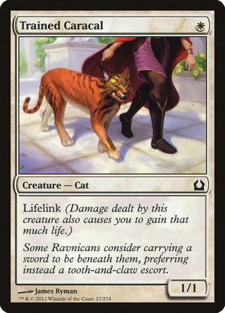 Trained Caracal [Return to Ravnica] | Dumpster Cat Games