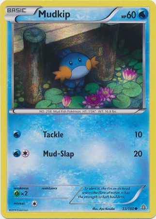 Mudkip (33/160) (Sheen Holo) [XY: Primal Clash] | Dumpster Cat Games