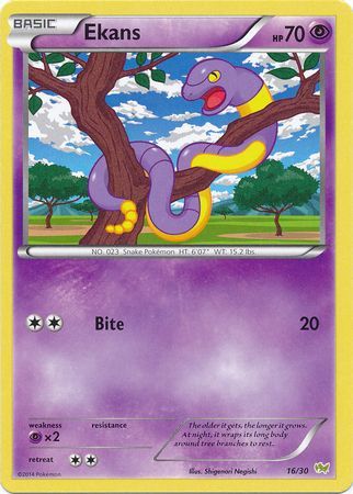 Ekans (16/30) [XY: Trainer Kit - Noivern] | Dumpster Cat Games