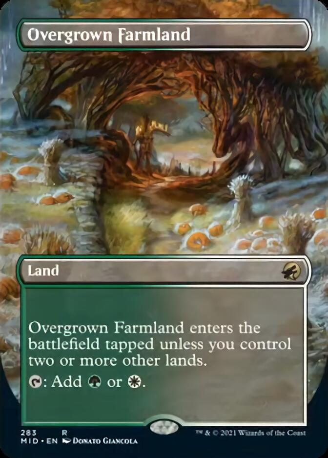 Overgrown Farmland (Borderless) [Innistrad: Midnight Hunt] | Dumpster Cat Games