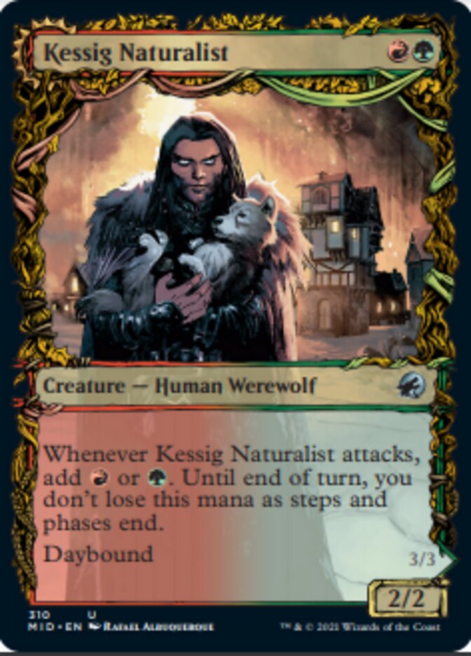 Kessig Naturalist // Lord of the Ulvenwald (Showcase Equinox) [Innistrad: Midnight Hunt] | Dumpster Cat Games