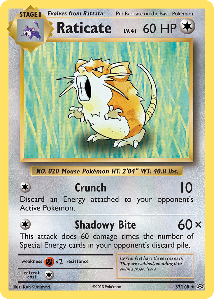 Raticate (67/108) [XY: Evolutions] | Dumpster Cat Games