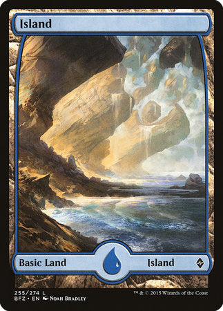 Island (255) - Full Art [Battle for Zendikar] | Dumpster Cat Games