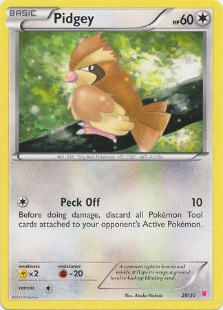 Pidgey (29/30) [XY: Trainer Kit 1 - Wigglytuff] | Dumpster Cat Games