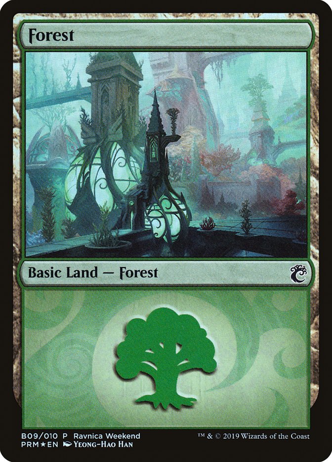 Forest (B09) [Ravnica Allegiance Guild Kit] | Dumpster Cat Games