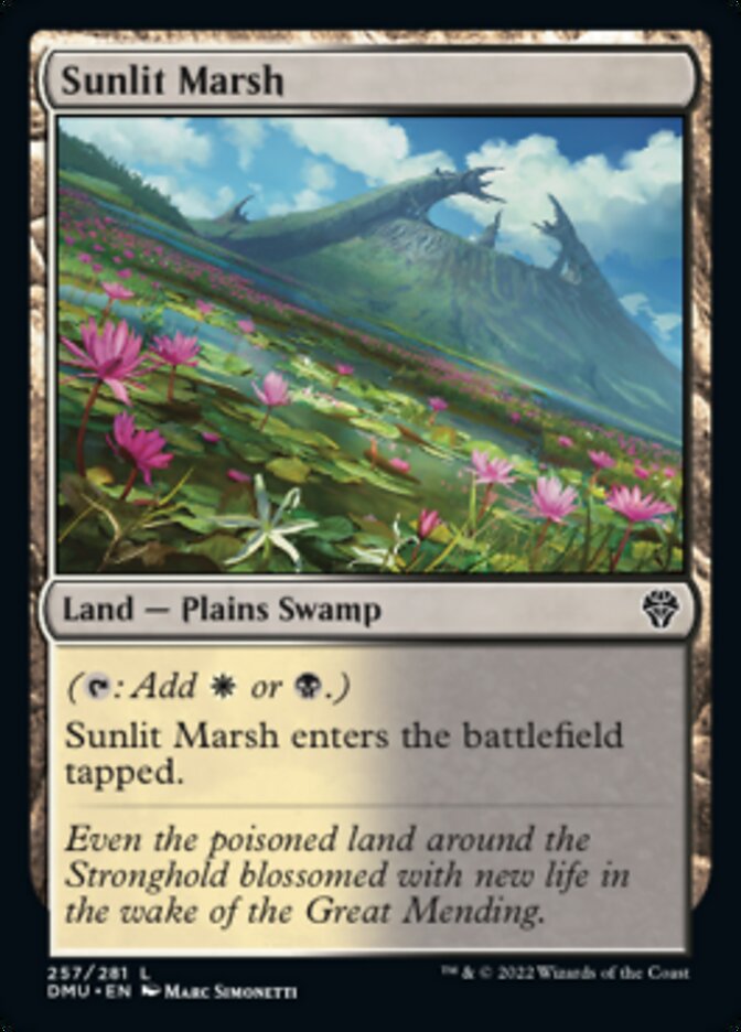 Sunlit Marsh [Dominaria United] | Dumpster Cat Games