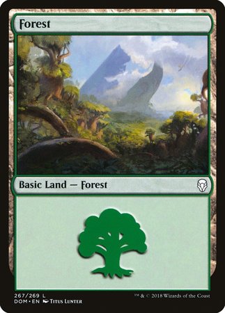 Forest (267) [Dominaria] | Dumpster Cat Games