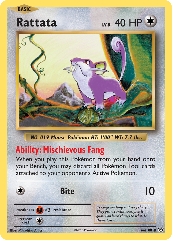 Rattata (66/108) [XY: Evolutions] | Dumpster Cat Games