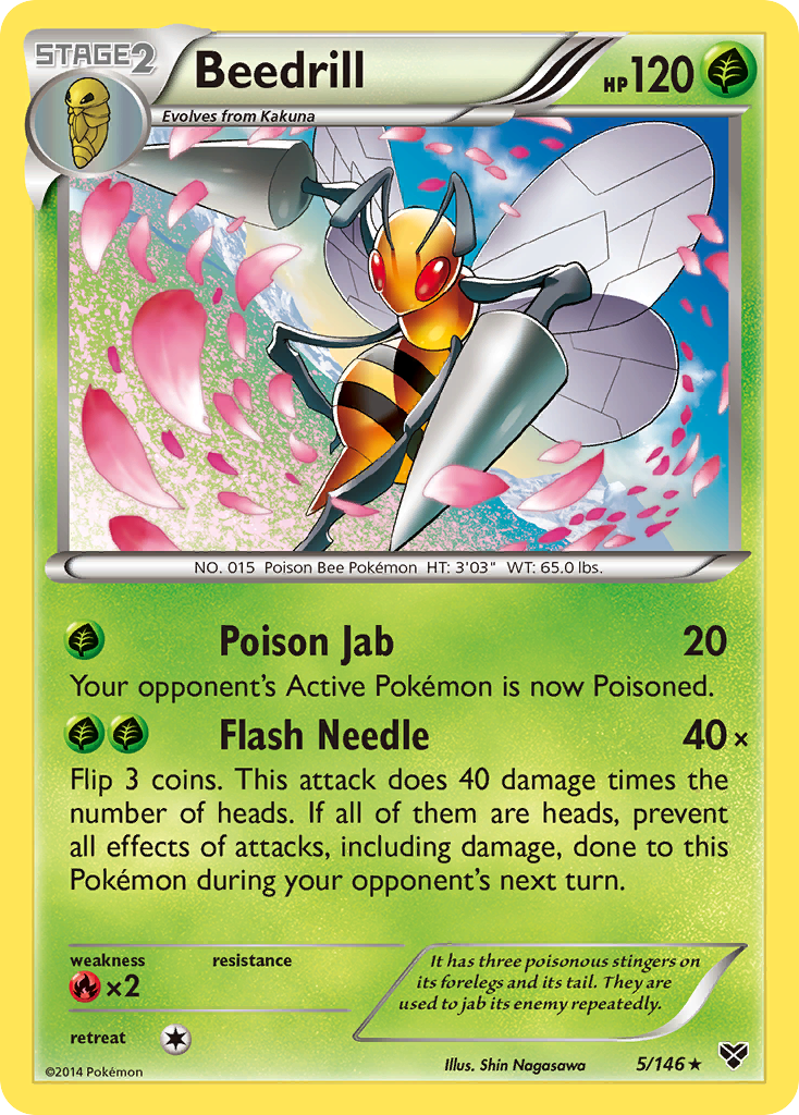 Beedrill (5/146) [XY: Base Set] | Dumpster Cat Games