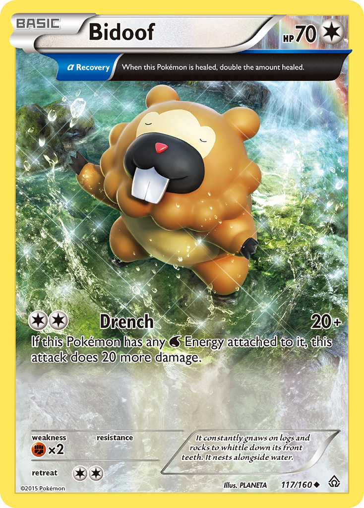 Bidoof (117/160) [XY: Primal Clash] | Dumpster Cat Games