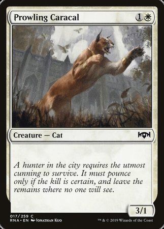 Prowling Caracal [Ravnica Allegiance] | Dumpster Cat Games