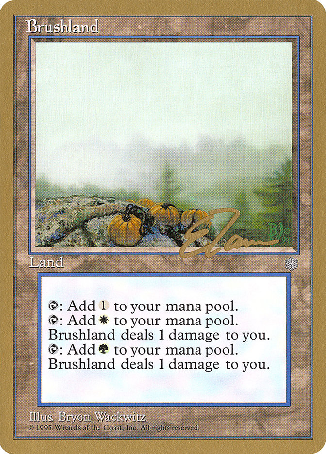 Brushland (Eric Tam) [Pro Tour Collector Set] | Dumpster Cat Games