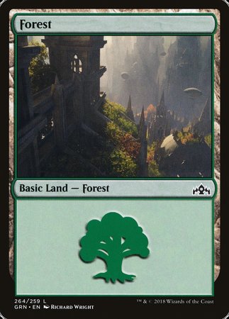 Forest [Guilds of Ravnica] | Dumpster Cat Games