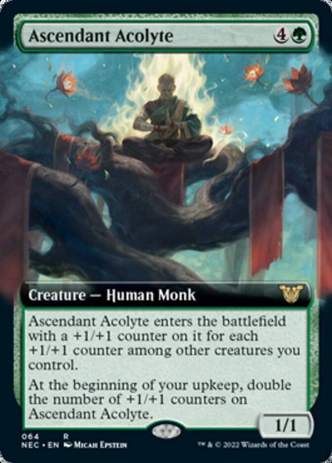 Ascendant Acolyte (Extended) [Kamigawa: Neon Dynasty Commander] | Dumpster Cat Games