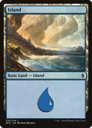 Island (255) [Battle for Zendikar] | Dumpster Cat Games