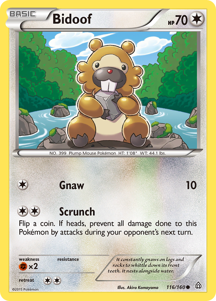 Bidoof (116/160) [XY: Primal Clash] | Dumpster Cat Games