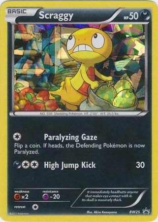 Scraggy (BW25) (Cracked Ice Holo) [Black & White: Black Star Promos] | Dumpster Cat Games